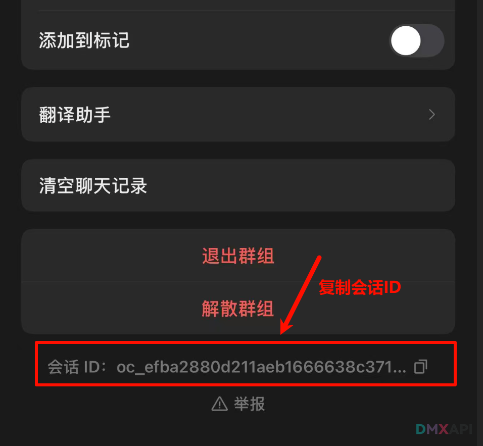 在飞书群设置中查看群聊 ID